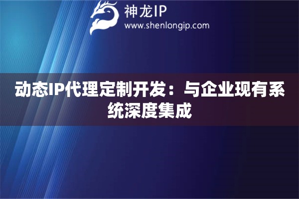 動態IP代理定制開發：與企業現有系統深度集成
