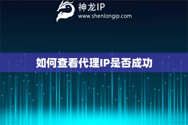 如何查看代理IP是否成功
