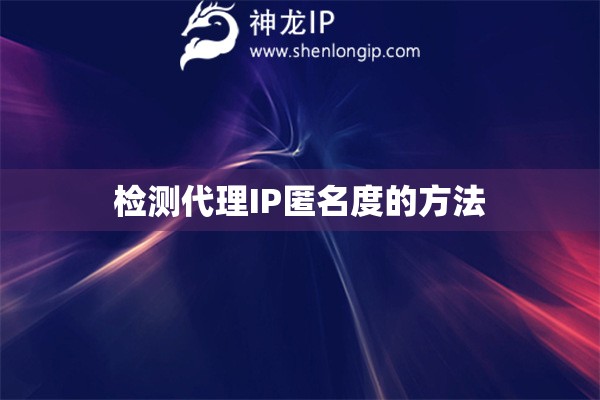 檢測代理IP匿名度的方法