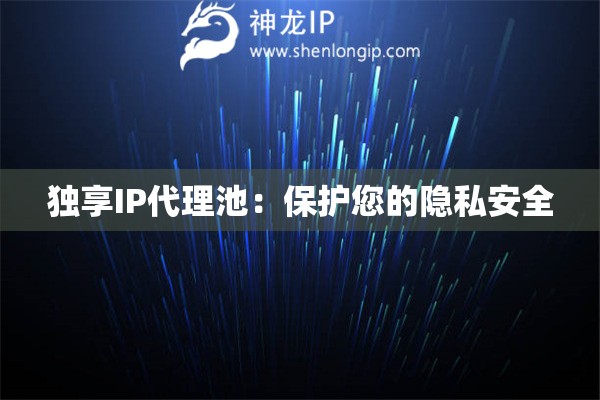 獨(dú)享IP代理池：保護(hù)您的隱私安全