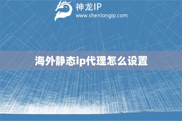 海外靜態ip代理怎么設置