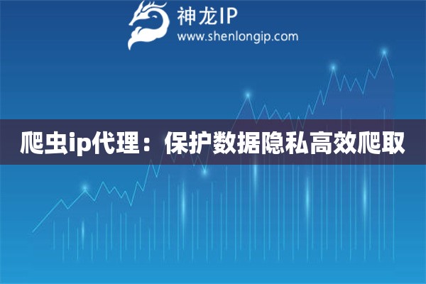 爬蟲ip代理：保護數據隱私高效爬取