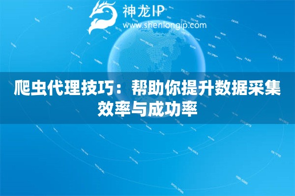 爬蟲代理技巧：幫助你提升數(shù)據(jù)采集效率與成功率