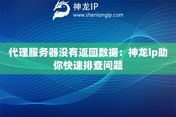 代理服務器沒有返回數據：神龍ip助你快速排查問題