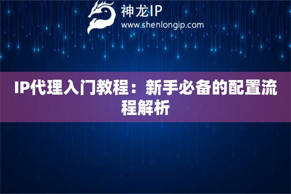 IP代理入門教程：新手必備的配置流程解析
