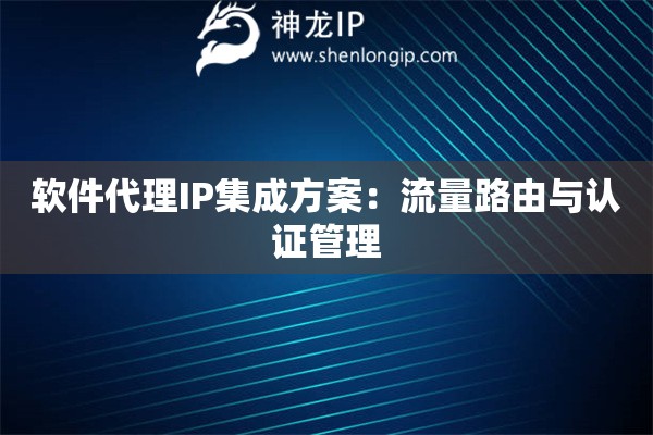 軟件代理IP集成方案：流量路由與認證管理