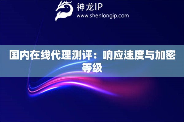國(guó)內(nèi)在線代理測(cè)評(píng)：響應(yīng)速度與加密等級(jí)
