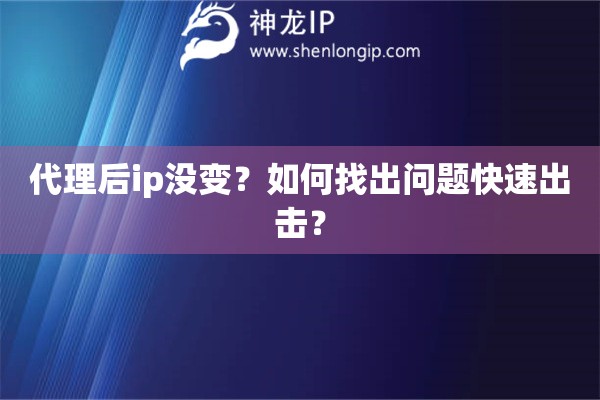 代理后ip沒變？如何找出問題快速出擊？