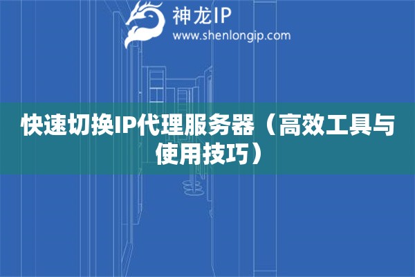 快速切換IP代理服務(wù)器（高效工具與使用技巧）