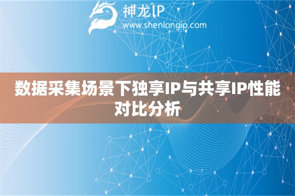 數據采集場景下獨享IP與共享IP性能對比分析
