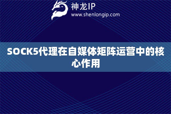 SOCK5代理在自媒體矩陣運營中的核心作用