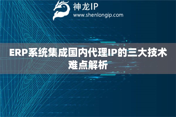 ERP系統集成國內代理IP的三大技術難點解析