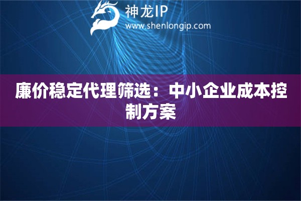 廉價穩(wěn)定代理篩選：中小企業(yè)成本控制方案
