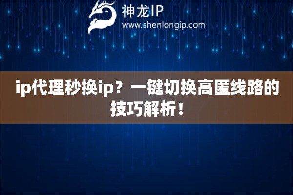ip代理秒換ip？一鍵切換高匿線路的技巧解析！