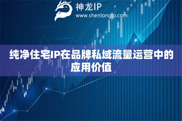 純凈住宅IP在品牌私域流量運營中的應用價值