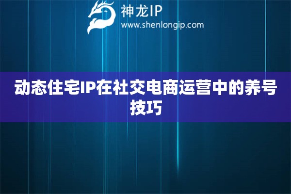 動態住宅IP在社交電商運營中的養號技巧