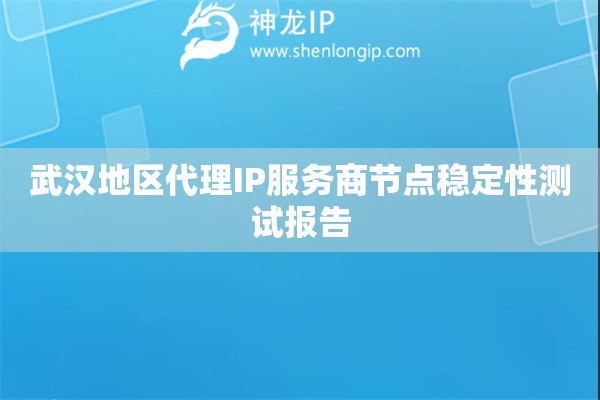 武漢地區代理IP服務商節點穩定性測試報告