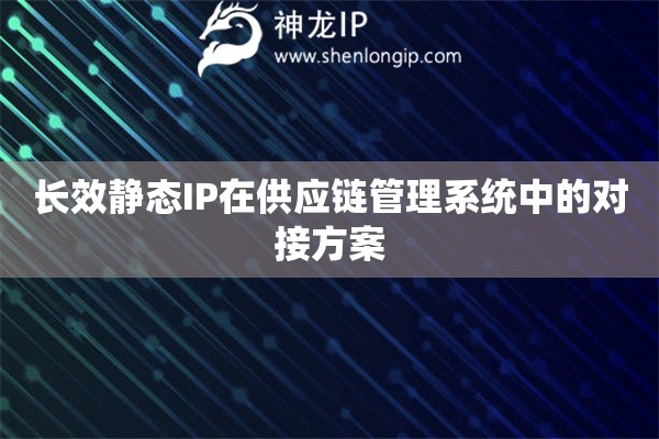 長效靜態IP在供應鏈管理系統中的對接方案