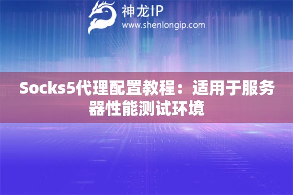 Socks5代理配置教程：適用于服務(wù)器性能測試環(huán)境