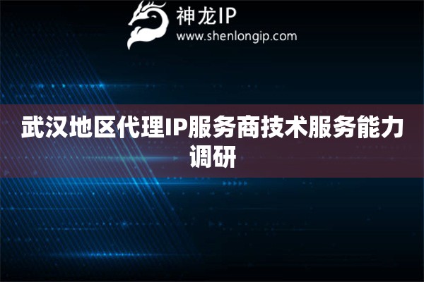 武漢地區代理IP服務商技術服務能力調研