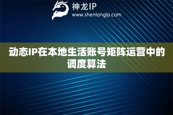 動態IP在本地生活賬號矩陣運營中的調度算法