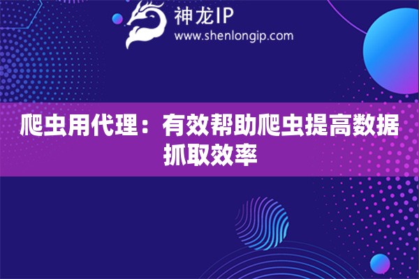 爬蟲用代理：有效幫助爬蟲提高數據抓取效率