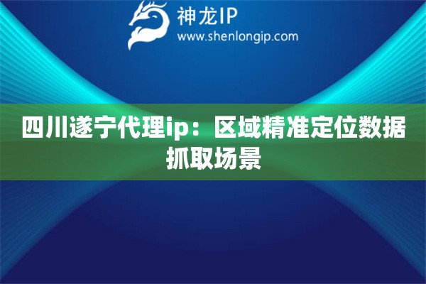 四川遂寧代理ip：區域精準定位數據抓取場景