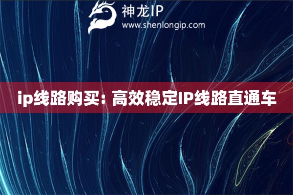 ip線路購買: 高效穩定IP線路直通車