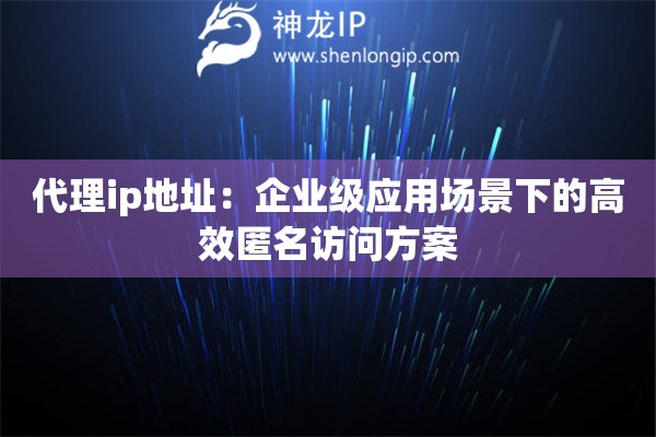 代理ip地址：企業(yè)級(jí)應(yīng)用場(chǎng)景下的高效匿名訪問(wèn)方案
