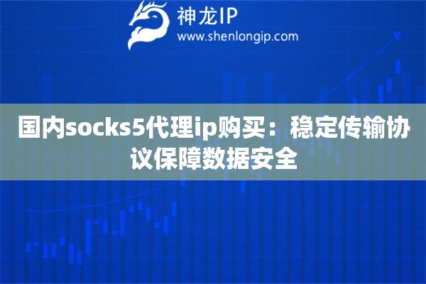 國(guó)內(nèi)socks5代理ip購(gòu)買：穩(wěn)定傳輸協(xié)議保障數(shù)據(jù)安全