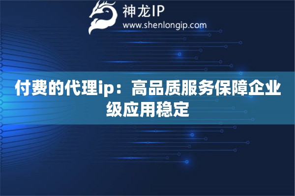 付費的代理ip：高品質(zhì)服務(wù)保障企業(yè)級應(yīng)用穩(wěn)定