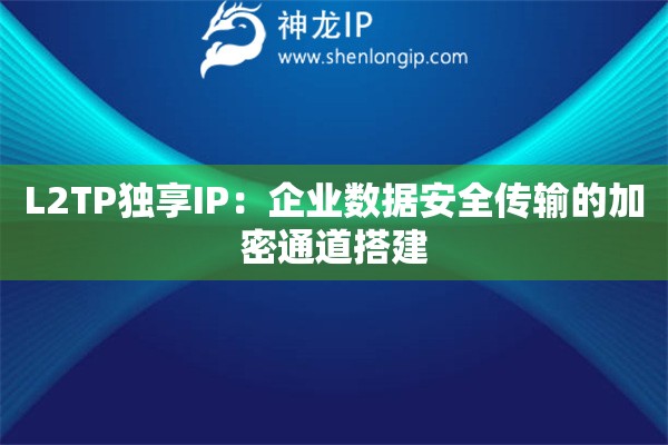 L2TP獨享IP：企業數據安全傳輸的加密通道搭建