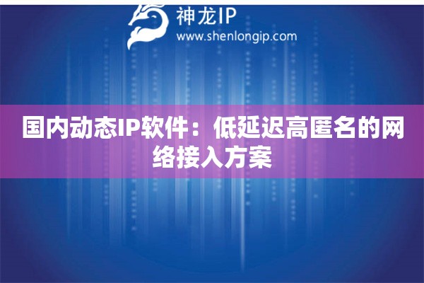 國內動態IP軟件：低延遲高匿名的網絡接入方案