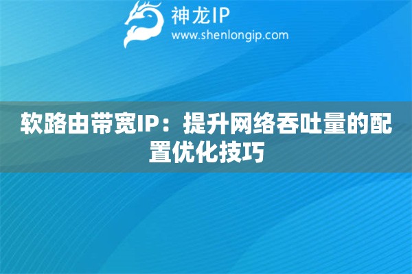 軟路由帶寬IP：提升網絡吞吐量的配置優化技巧