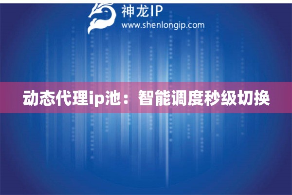 動態(tài)代理ip池：智能調(diào)度秒級切換