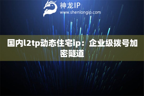 國內(nèi)l2tp動態(tài)住宅ip：企業(yè)級撥號加密隧道