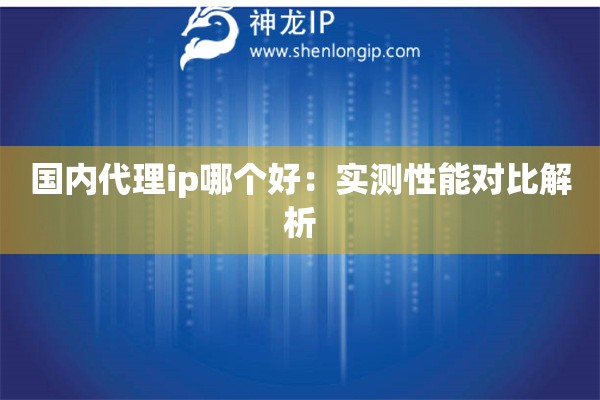 國內代理ip哪個好：實測性能對比解析