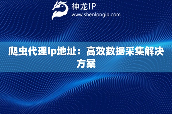 爬蟲代理ip地址：高效數據采集解決方案