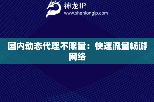國內動態代理不限量：快速流量暢游網絡