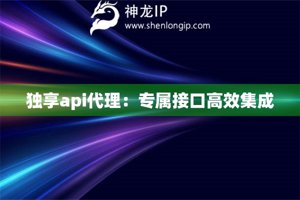 獨(dú)享api代理：專屬接口高效集成
