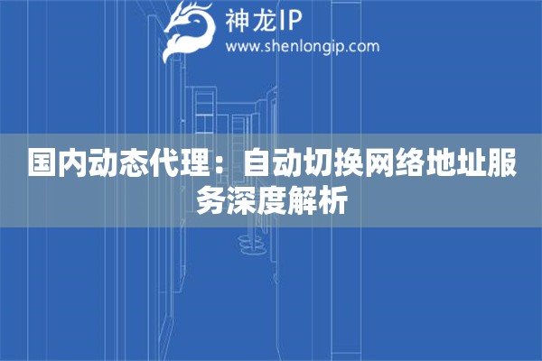 國內(nèi)動態(tài)代理：自動切換網(wǎng)絡(luò)地址服務(wù)深度解析