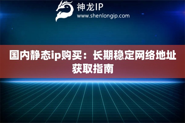 國內(nèi)靜態(tài)ip購買：長期穩(wěn)定網(wǎng)絡(luò)地址獲取指南