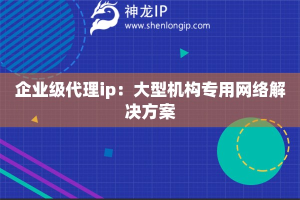 企業(yè)級代理ip：大型機構(gòu)專用網(wǎng)絡解決方案
