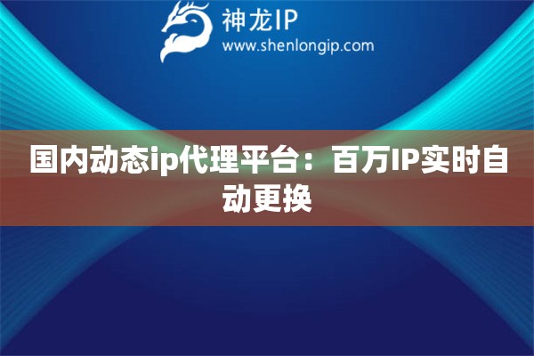 國(guó)內(nèi)動(dòng)態(tài)ip代理平臺(tái)：百萬(wàn)IP實(shí)時(shí)自動(dòng)更換
