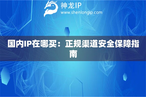 國內IP在哪買：正規渠道安全保障指南