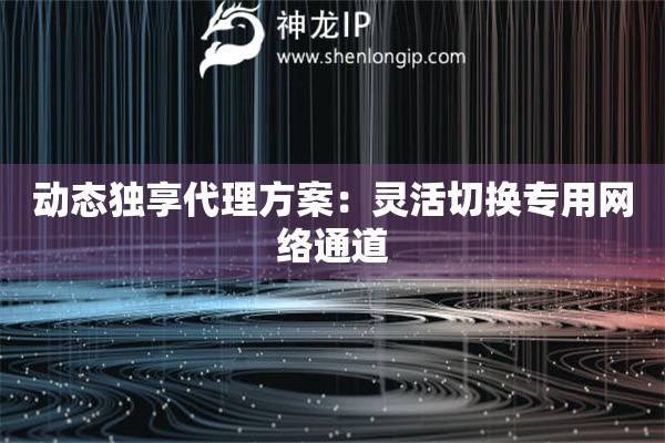 動態獨享代理方案：靈活切換專用網絡通道