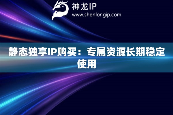 靜態獨享IP購買：專屬資源長期穩定使用