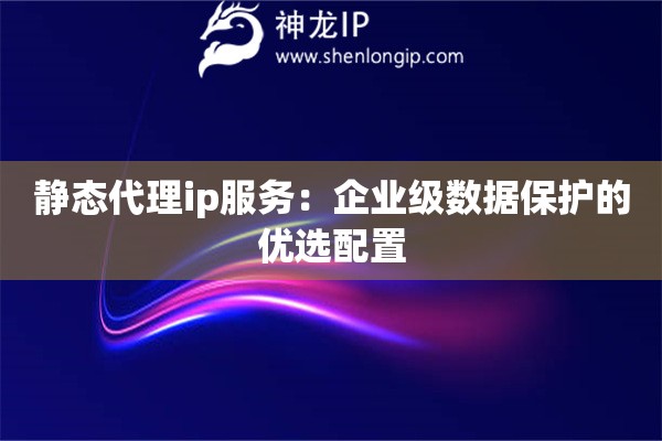 靜態代理ip服務：企業級數據保護的優選配置