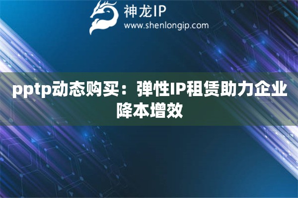 pptp動態購買：彈性IP租賃助力企業降本增效