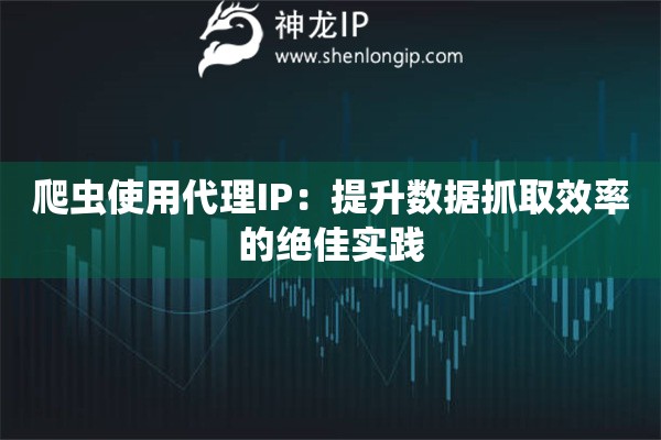 爬蟲使用代理IP：提升數(shù)據(jù)抓取效率的絕佳實踐